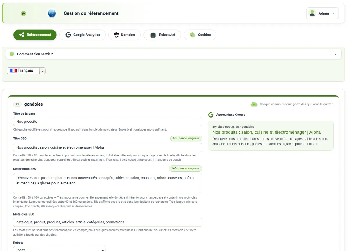Comment optimiser mon site pour Google – capture d’écran