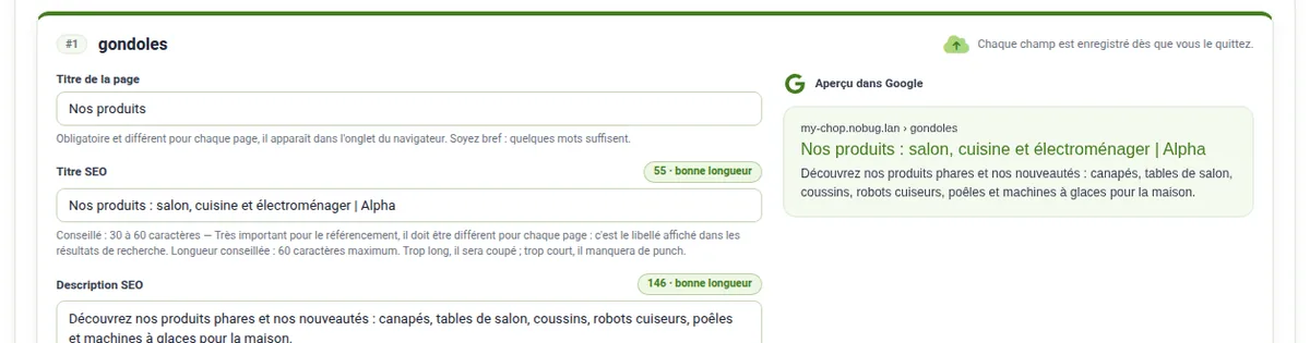 Comment créer des balises meta optimisées – capture d’écran